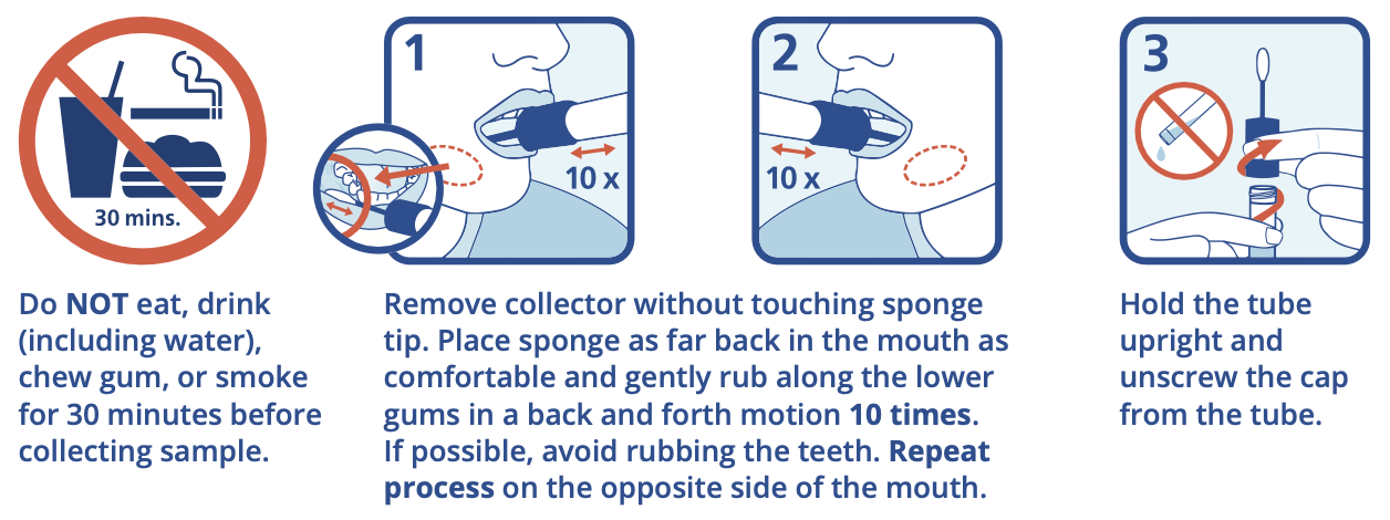 Steps 1 through 3: do not eat, drink, chew gum, or smoke for 30 minutes before collecting. Remove the collector without touching the sponge tip, rub it along the lower gums 10 times on each side, then hold the tube upright and unscrew the cap.