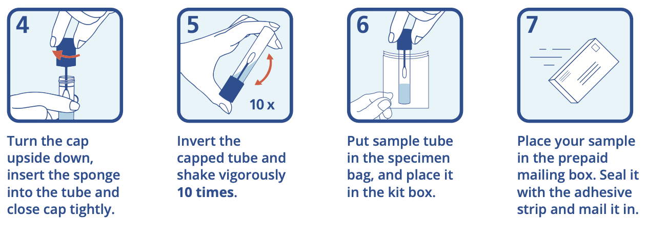 Steps 4 through 7: turn the cap upside down, insert the sponge into the tube and close tightly. Invert the capped tube and shake 10 times. Put the tube in the specimen bag and kit box, then place it in the prepaid mailing box, seal, and mail it in.